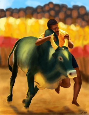 jallikattu22